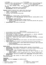 Konspekts 'Anatomija. Iekšējie orgāni', 31.