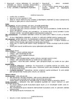 Konspekts 'Anatomija. Iekšējie orgāni', 32.