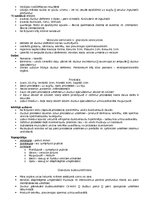 Konspekts 'Anatomija. Iekšējie orgāni', 35.