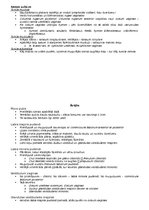 Konspekts 'Anatomija. Iekšējie orgāni', 40.