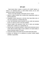 Prakses atskaite 'Prakses atskaite', 2.