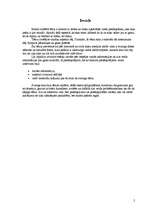 Referāts 'Vides piesārņojums', 2.