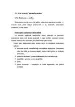 Biznesa plāns 'SIA "Akords" mārketinga plāns', 15.