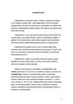 Biznesa plāns 'Uzņēmējdarbība, biznesa plāns "Dzīvnieku māja"', 2.