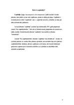 Biznesa plāns 'Uzņēmējdarbība, biznesa plāns "Dzīvnieku māja"', 4.