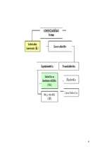 Biznesa plāns 'Uzņēmējdarbība, biznesa plāns "Dzīvnieku māja"', 6.