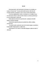 Biznesa plāns 'Uzņēmējdarbība, biznesa plāns "Dzīvnieku māja"', 10.