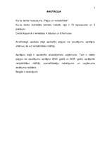 Referāts 'Peļņa un rentabilitāte', 2.