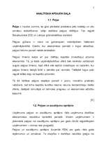 Referāts 'Peļņa un rentabilitāte', 5.