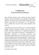 Referāts 'Peļņa un rentabilitāte', 10.