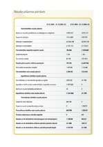 Referāts 'Peļņa un rentabilitāte', 21.