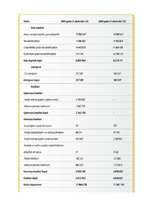 Referāts 'Peļņa un rentabilitāte', 24.