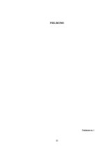 Referāts 'Skolēna un skolotāja sadarbība', 24.