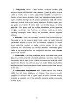 Referāts 'Konflikti', 12.