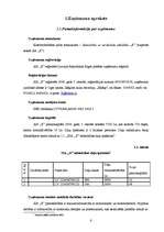 Biznesa plāns 'Biznesa plāns', 6.