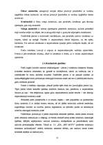 Biznesa plāns 'Biznesa plāns', 10.