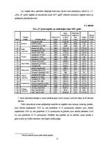 Biznesa plāns 'Biznesa plāns', 13.