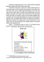 Biznesa plāns 'Biznesa plāns', 15.