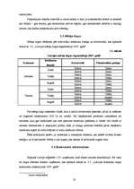 Biznesa plāns 'Biznesa plāns', 20.