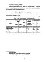 Biznesa plāns 'Biznesa plāns', 29.