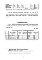 Biznesa plāns 'Biznesa plāns', 30.