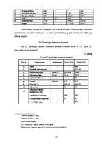 Biznesa plāns 'Biznesa plāns', 31.