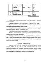 Biznesa plāns 'Biznesa plāns', 32.