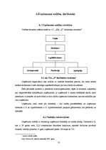 Biznesa plāns 'Biznesa plāns', 33.