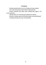 Biznesa plāns 'Biznesa plāns', 39.