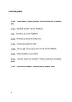 Referāts 'Interaktīvs pasākums "Jauniešu iespējas Eiropas Savienībā"', 8.