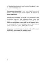 Referāts 'Interaktīvs pasākums "Jauniešu iespējas Eiropas Savienībā"', 10.