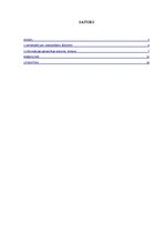 Referāts 'Informācijas sabiedrības jēdziens, ietekme, ikdiena', 2.