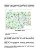 Referāts 'Stiklu purvi', 3.