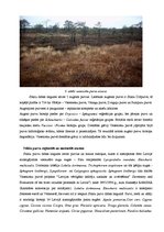 Referāts 'Stiklu purvi', 7.