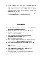 Referāts 'Autortiesību izmantošanas tipiskākās problēmas interneta vidē: filmu nelegāla iz', 15.