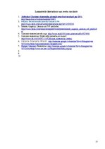 Referāts 'Ukrainas ekonomikas attīstības novērtējums', 13.