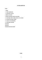 Referāts 'Islāms', 1.