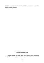 Referāts 'Islāms', 17.