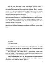 Referāts 'Pacients ar hroniskām muguras sāpēm', 5.