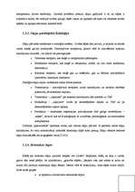 Referāts 'Pacients ar hroniskām muguras sāpēm', 7.