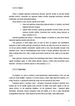 Referāts 'Pacients ar hroniskām muguras sāpēm', 9.