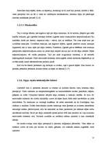 Referāts 'Pacients ar hroniskām muguras sāpēm', 10.