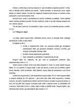 Referāts 'Pacients ar hroniskām muguras sāpēm', 11.