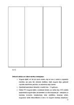 Referāts 'Pacients ar hroniskām muguras sāpēm', 13.