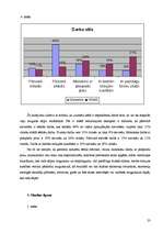 Referāts 'Pacients ar hroniskām muguras sāpēm', 23.