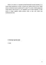 Referāts 'Pacients ar hroniskām muguras sāpēm', 31.