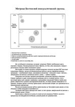 Paraugs 'SWOT - анализ. Матрица Бостонской консультативной группы. Модель McKinsey', 5.
