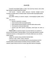 Referāts 'Fludarabīna farmakoloģiskās īpašības un sintēze', 2.