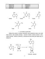 Referāts 'Fludarabīna farmakoloģiskās īpašības un sintēze', 8.