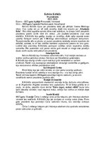 Konspekts 'ASV Prezidenti no 1861. gada –1933.gadam', 21.